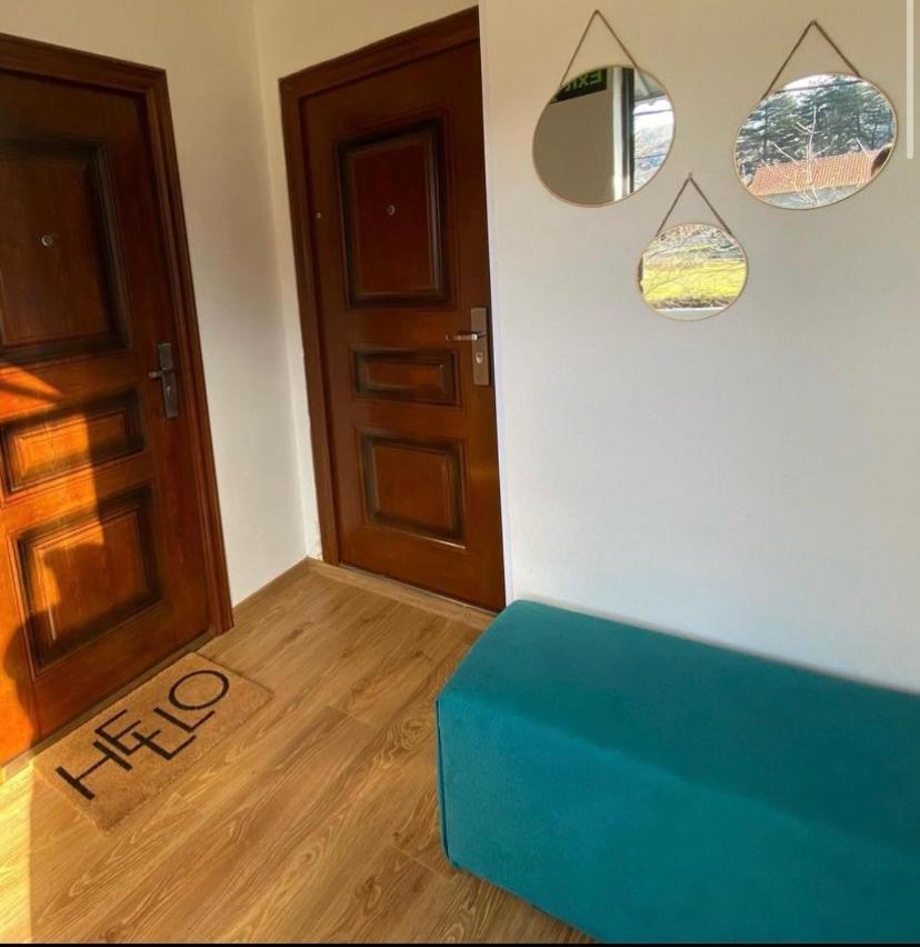 Apartman Vucinic ツェティニェ エクステリア 写真